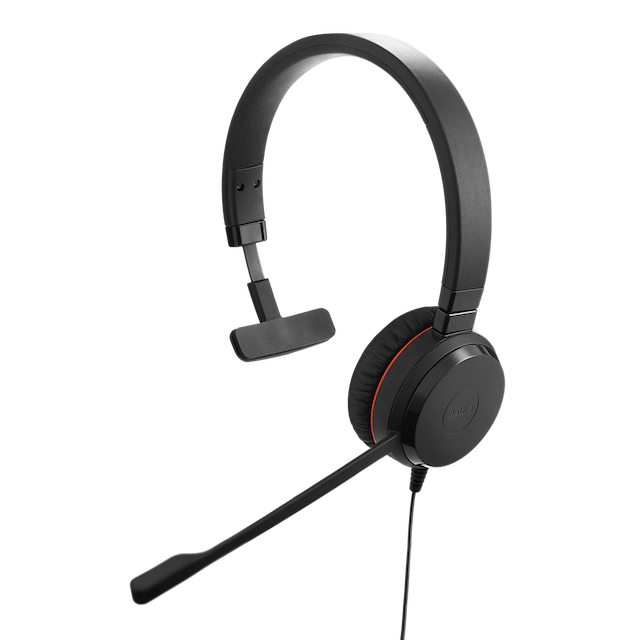 Jabra Evolve 20 Stereo / Mono Image