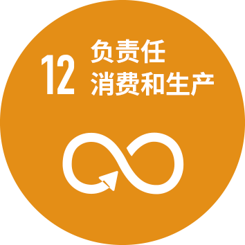 12: Responsible consumption and production